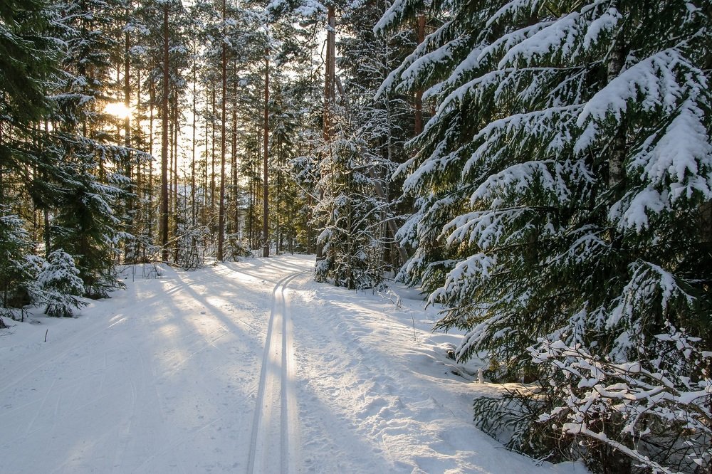 Фотография автора Андрей Симонов
