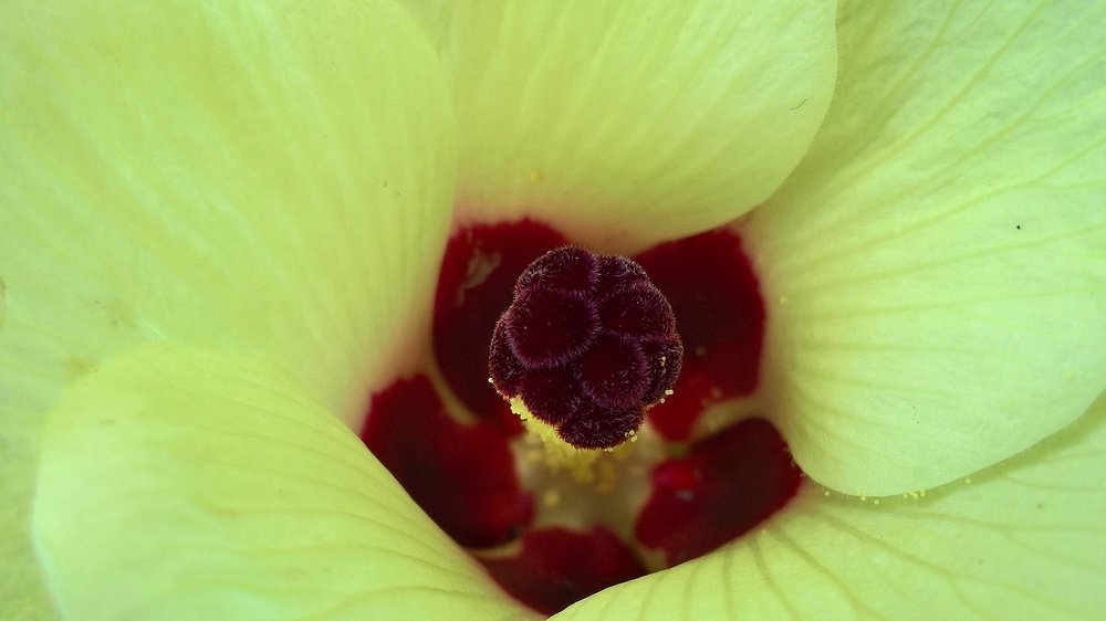 Photograph by Umida Yusupova