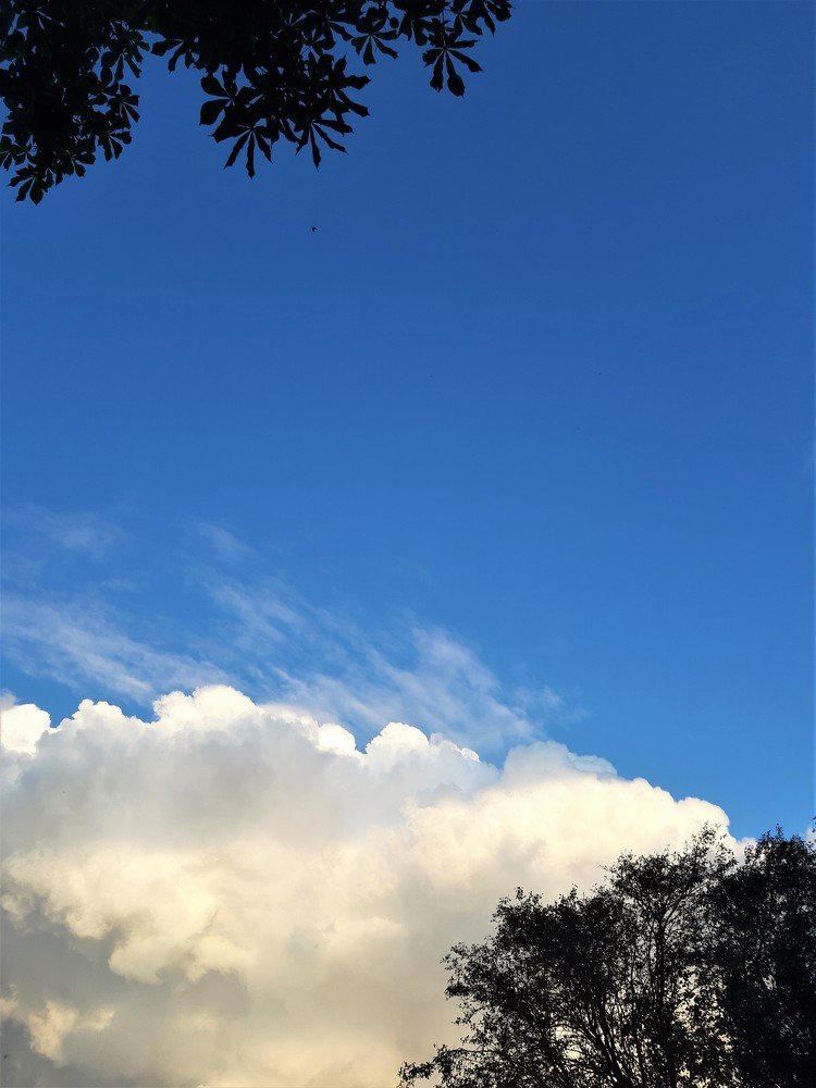 Photograph by Юлия