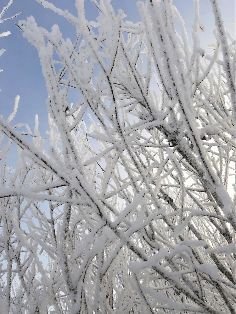 Photograph by Юлия