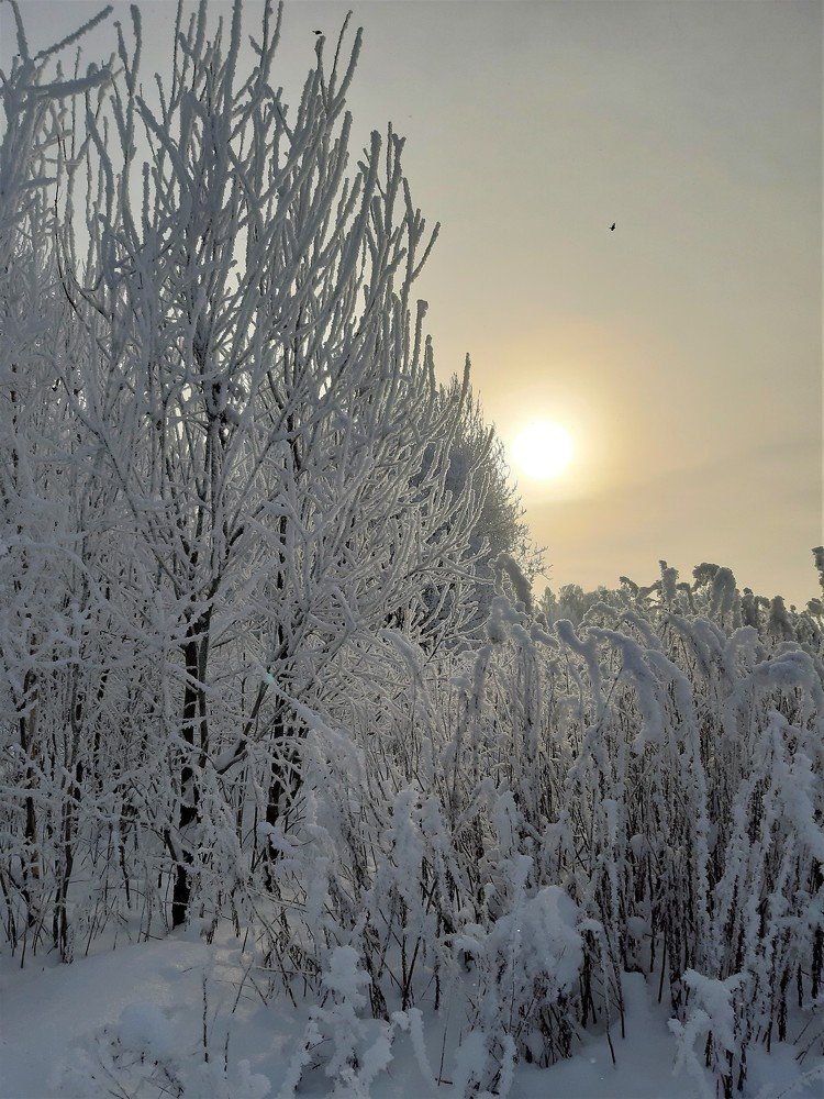 Photograph by Юлия