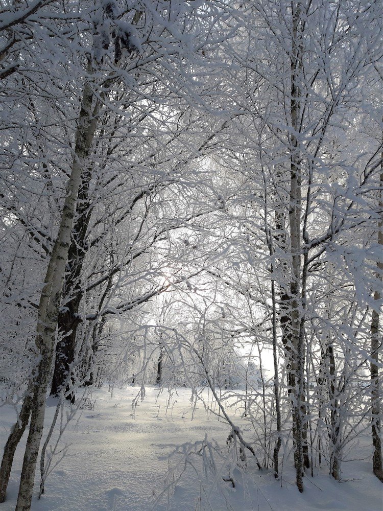 Photograph by Юлия