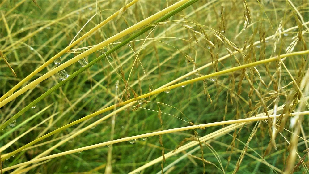 Photograph by Юлия