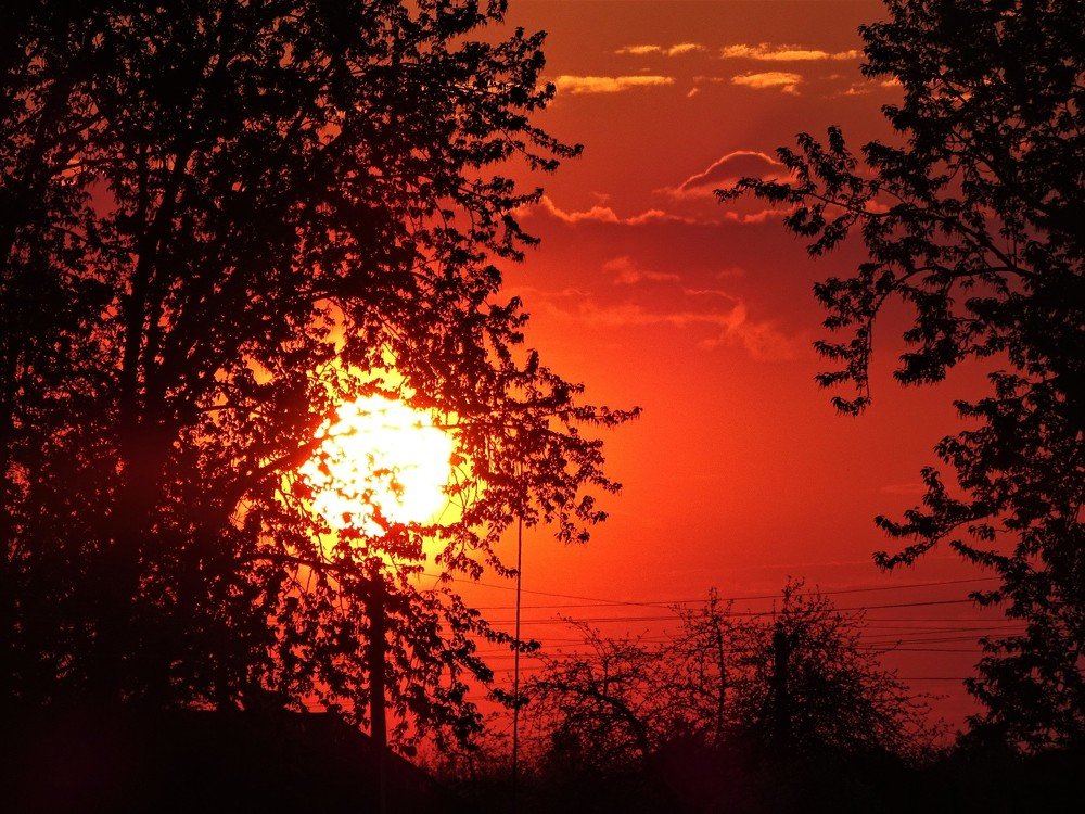 Photograph by Юлия