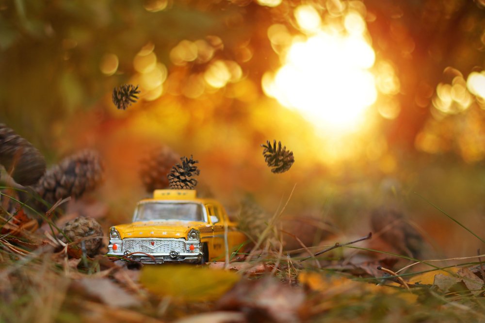 Photograph by Александр Большаков