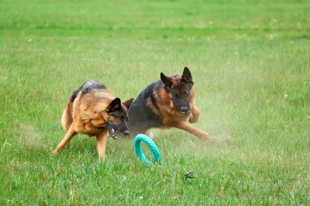 Photograph by Константин Кузнецов