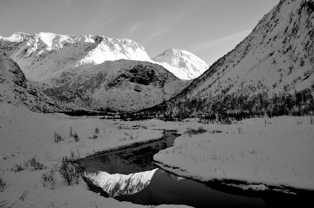 Photograph by Radu Marian