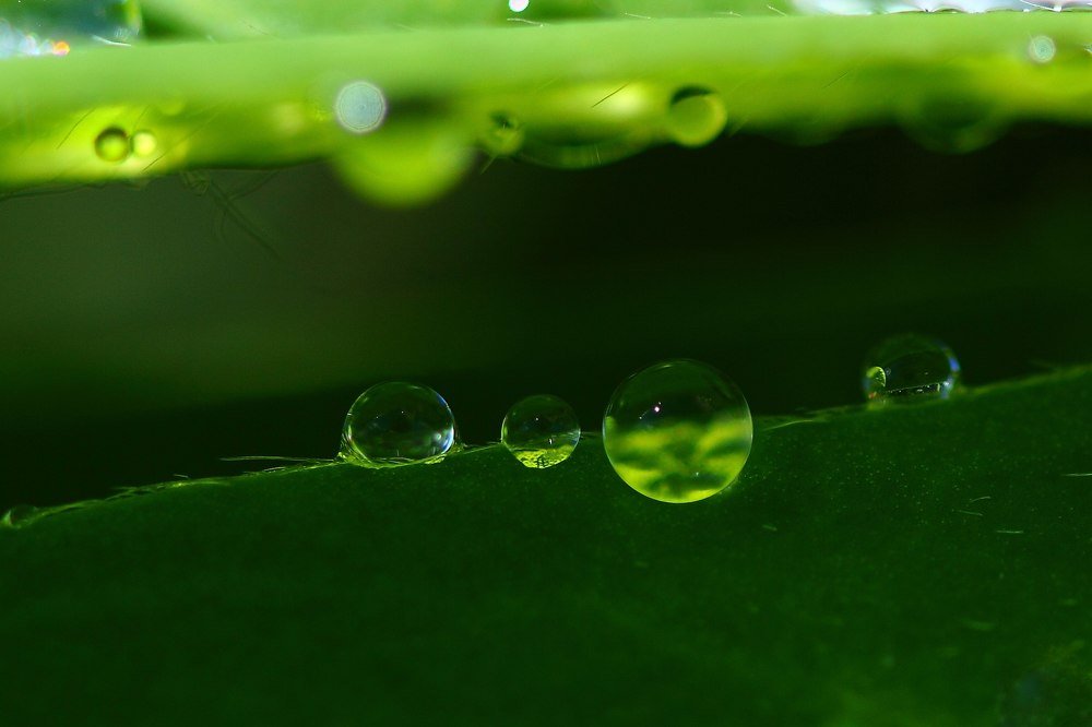 Photograph by Александр Большаков