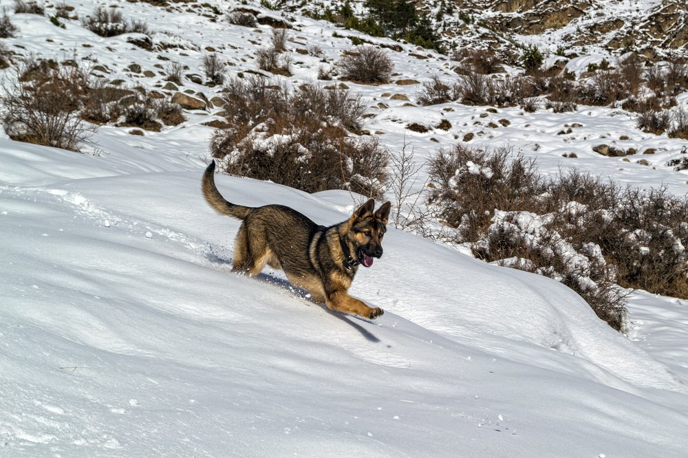 Photograph by Елена Ковалева