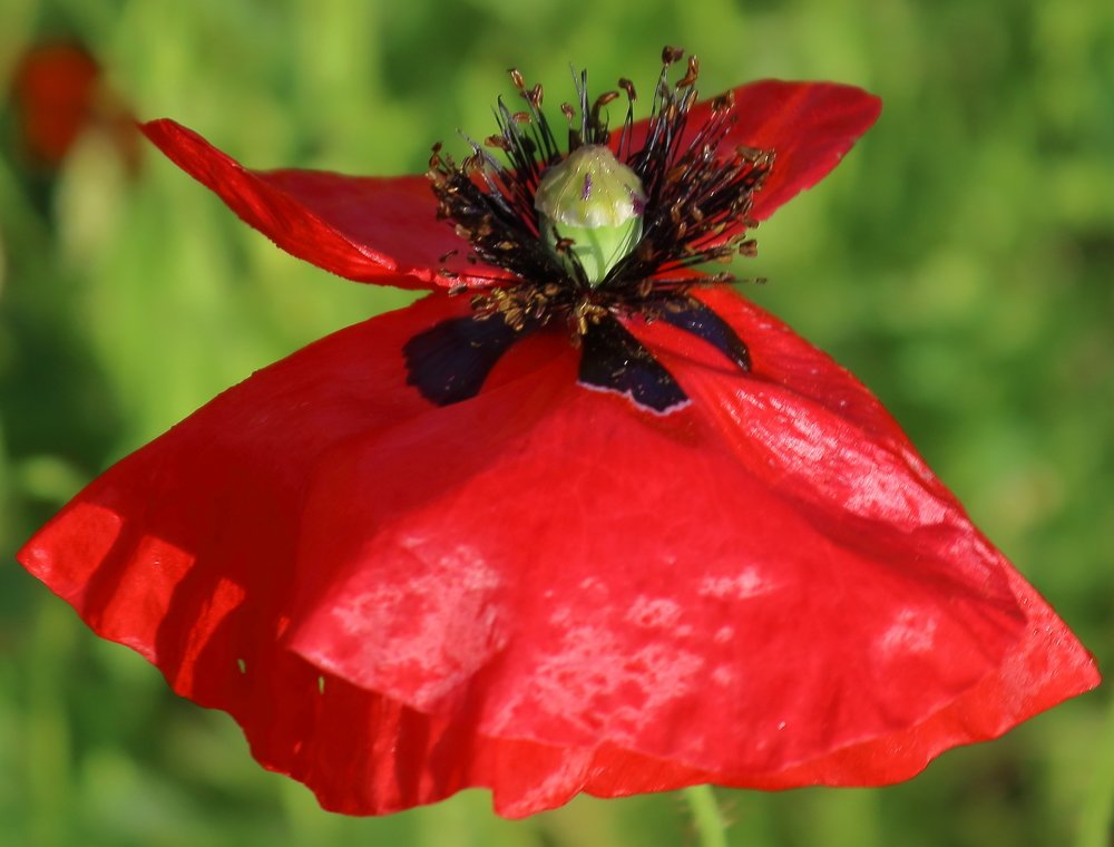 Photograph by Нина Титенкова