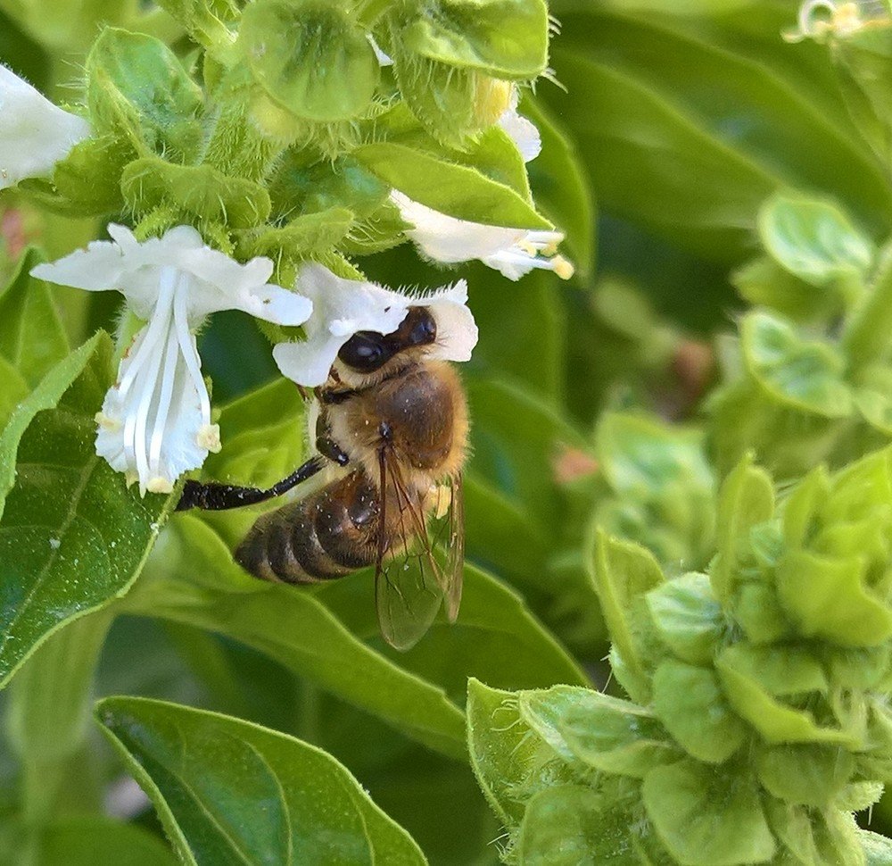 Photograph by Umida Yusupova