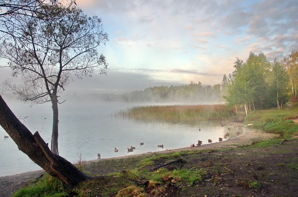 Photograph by савельев евгений