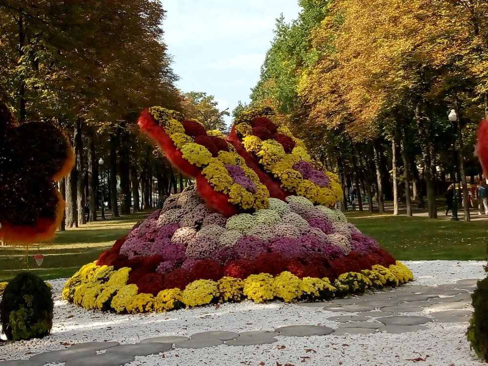 Осенняя бабочка