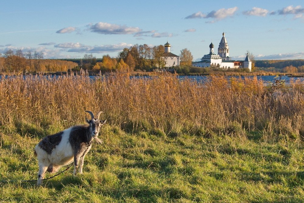 Photograph by савельев евгений