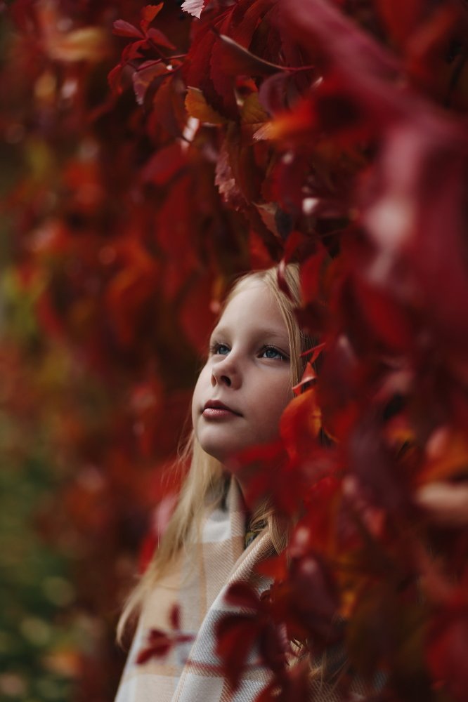 Photograph by Блинковская Вероника