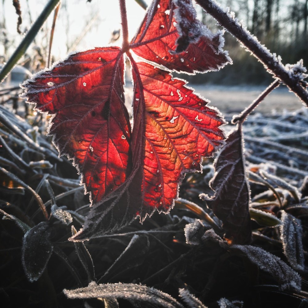 Фотография автора Геннадий Ломеко