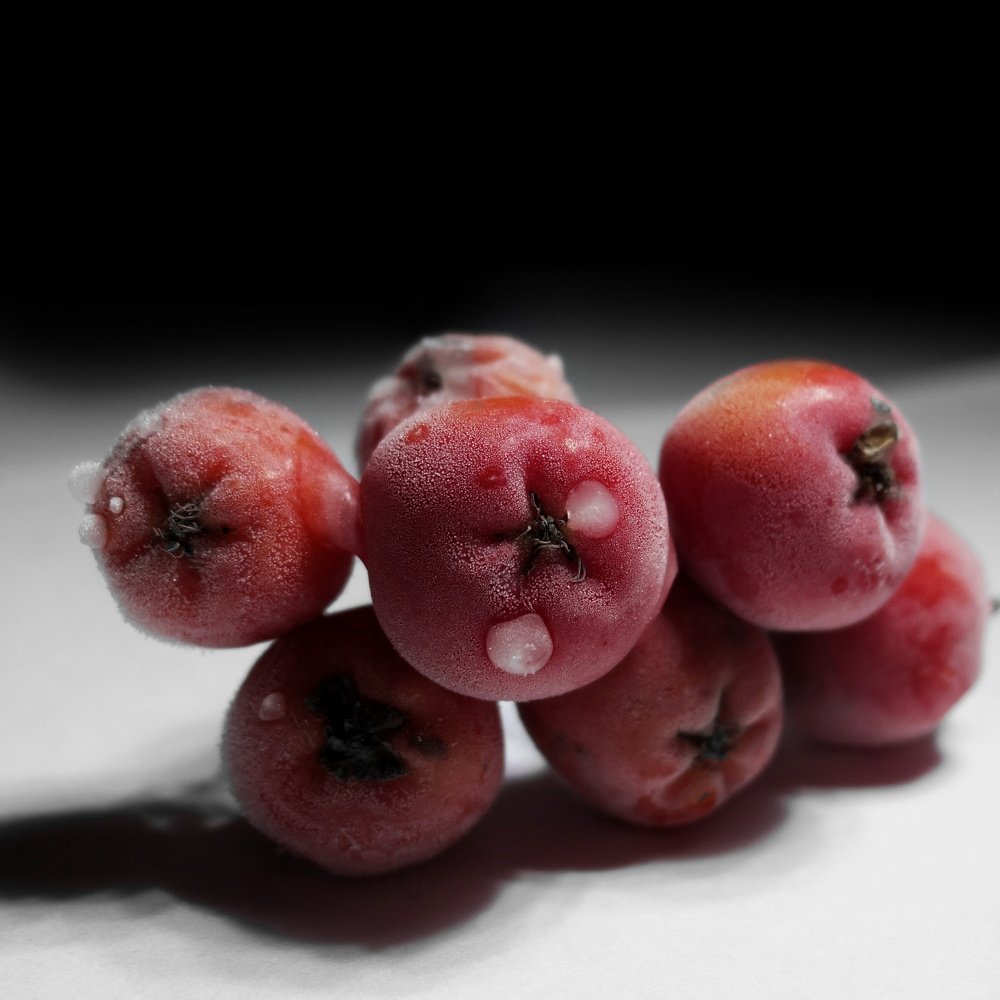 Фотография автора Геннадий Ломеко