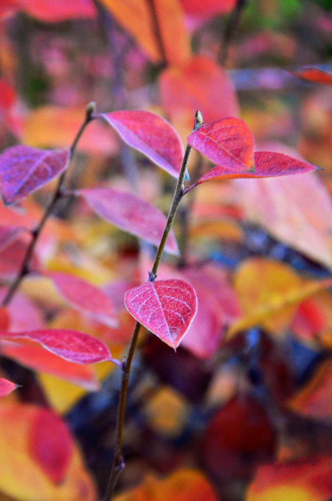 Photograph by Ира Балакова