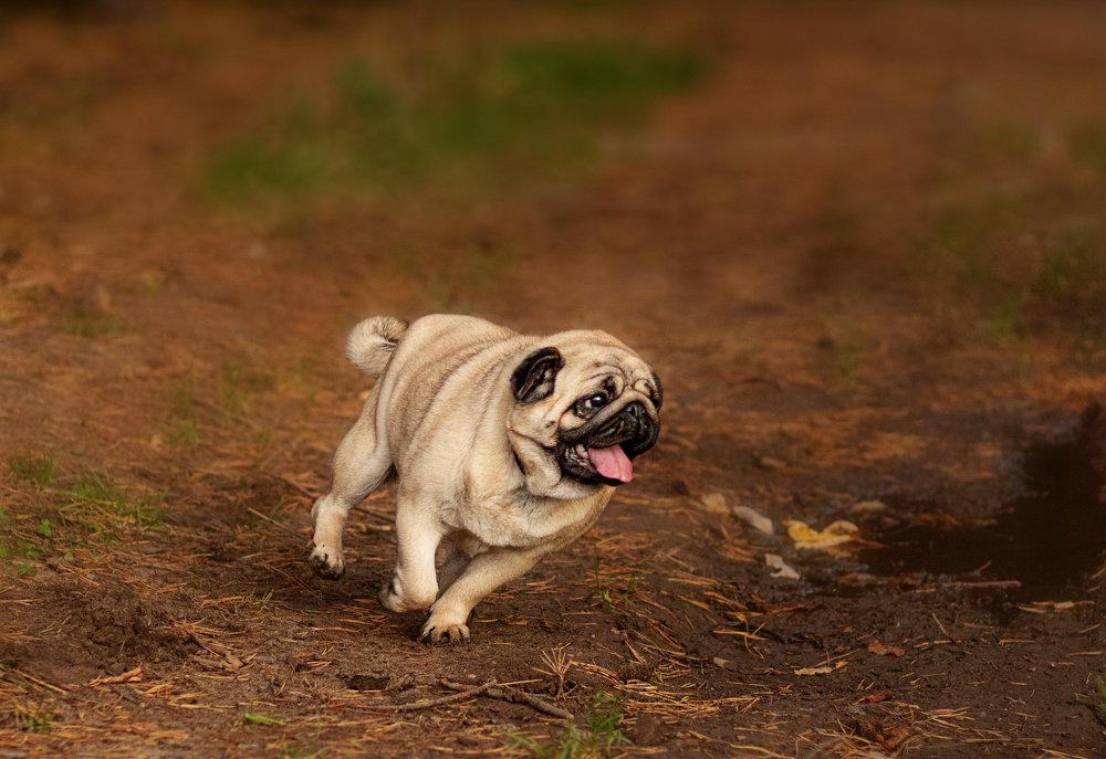 Photograph by Михеева Олеся