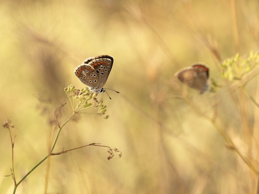 Photograph by Татьяна