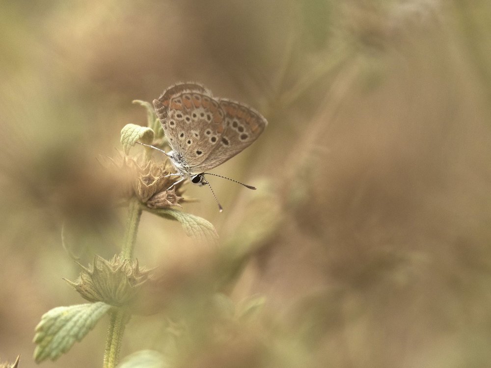 Photograph by Татьяна