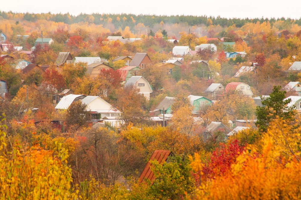 Photograph by Артем Логинов