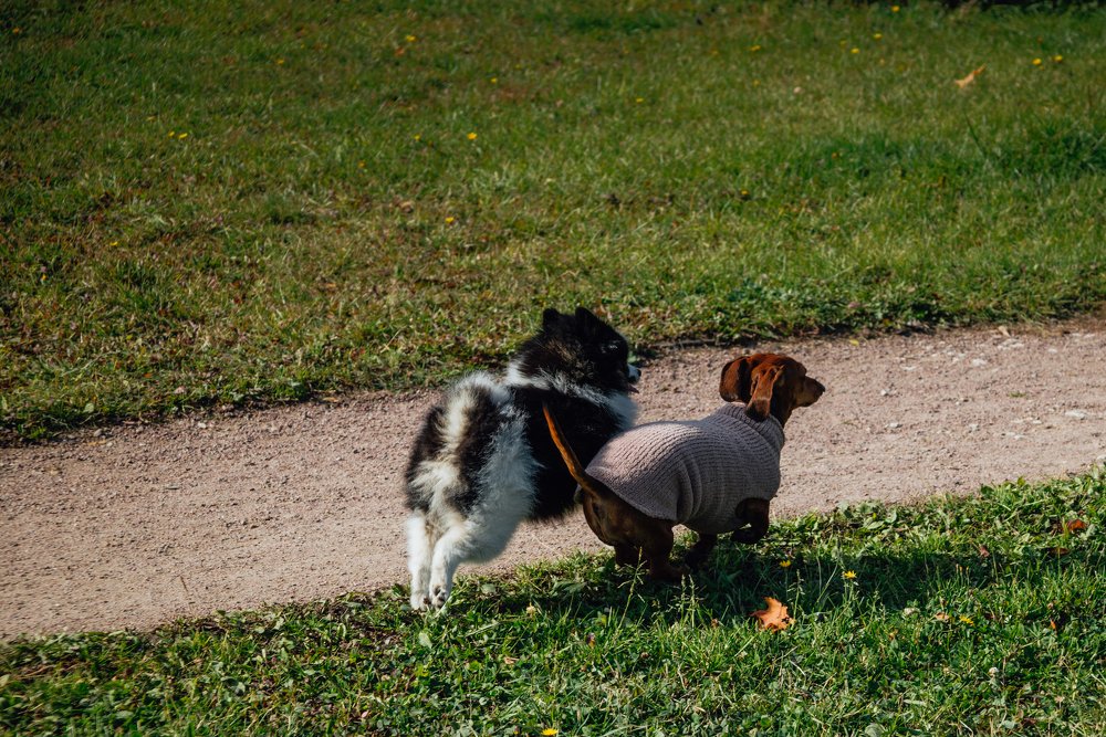 Photograph by Василиса Билуши