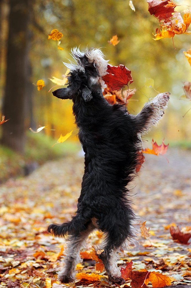 Photograph by Галина Щурова