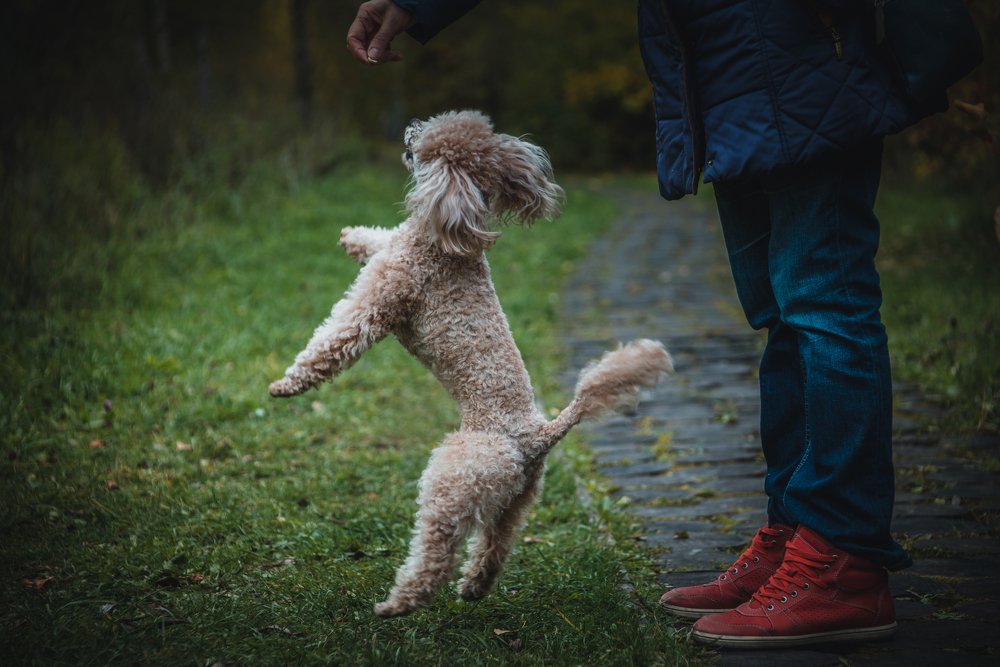 Photograph by Василиса Билуши