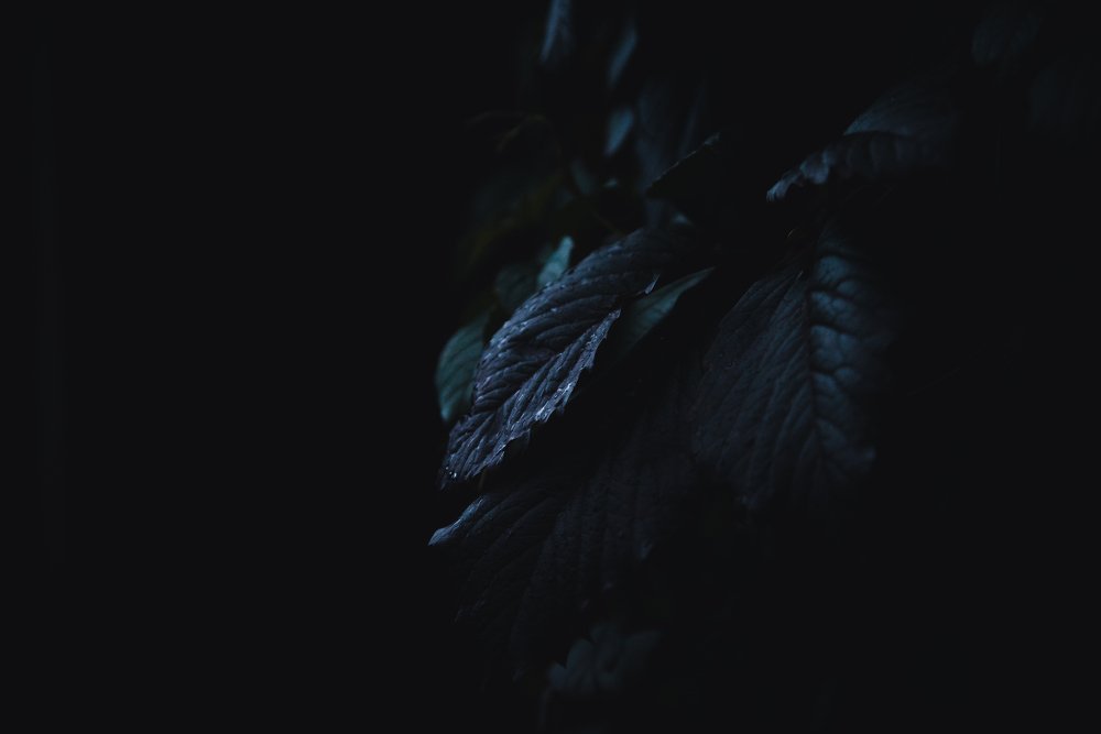 Photograph by Василиса Билуши