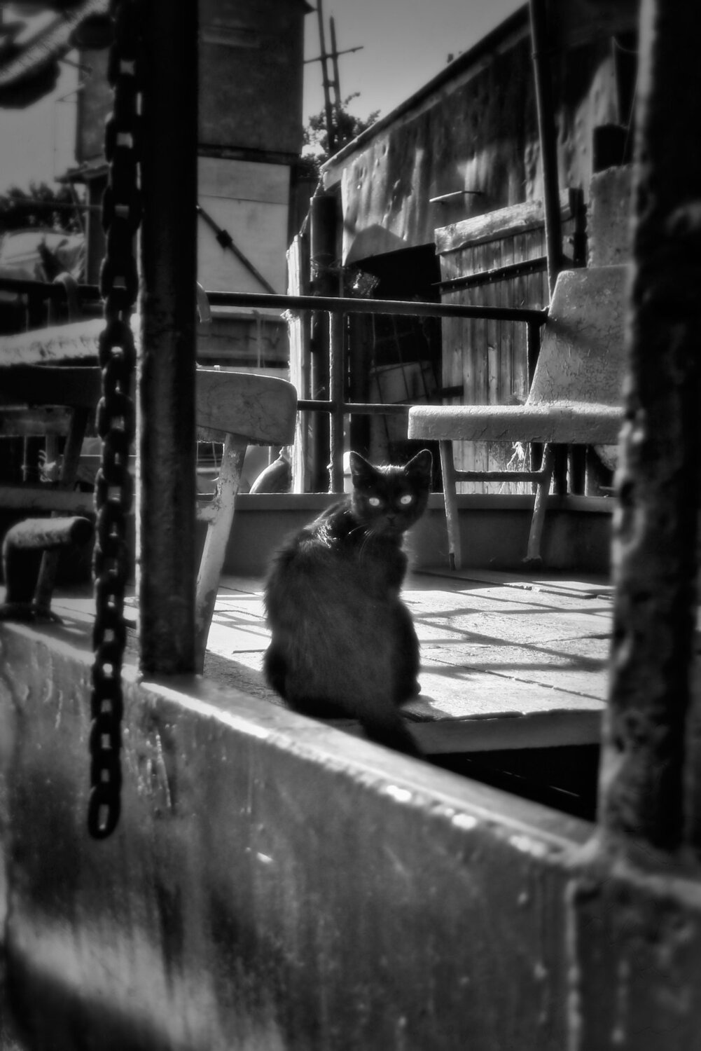 Photo #3692084