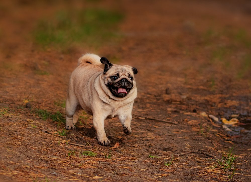 Photograph by Михеева Олеся