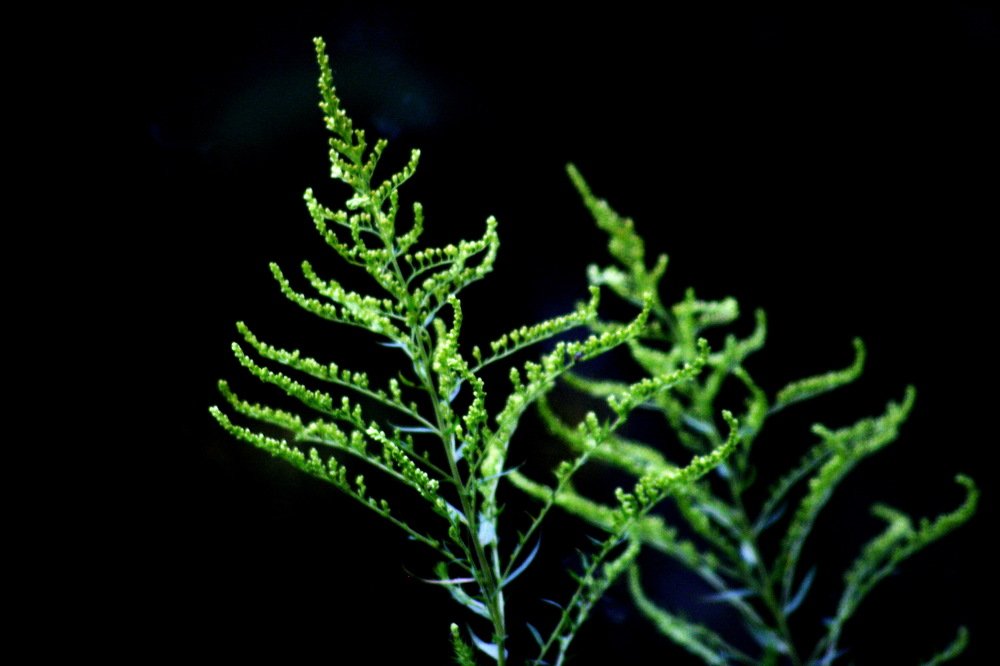 Photograph by Вадим Беляев