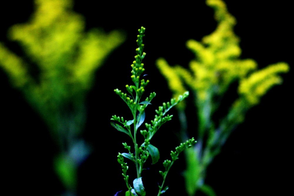 Photograph by Вадим Беляев