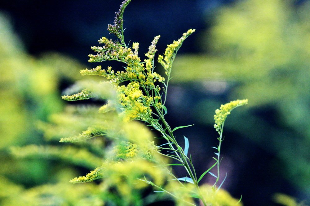 Photograph by Вадим Беляев