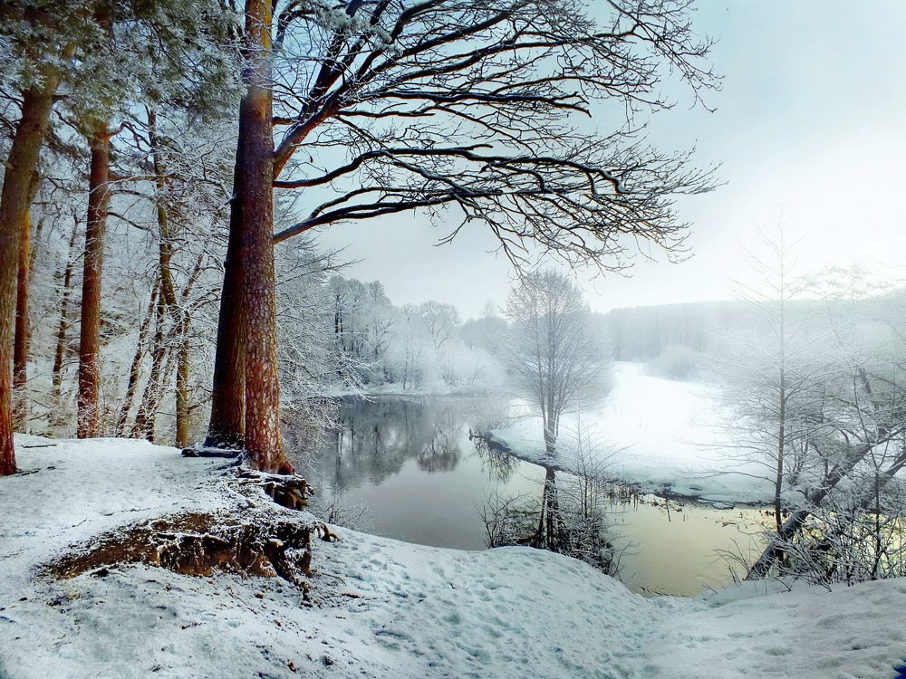 Photograph by Валерий Козуб