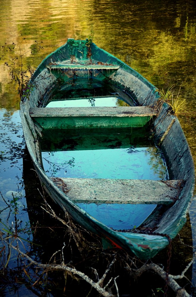 Фотография автора Jadranka Mamić