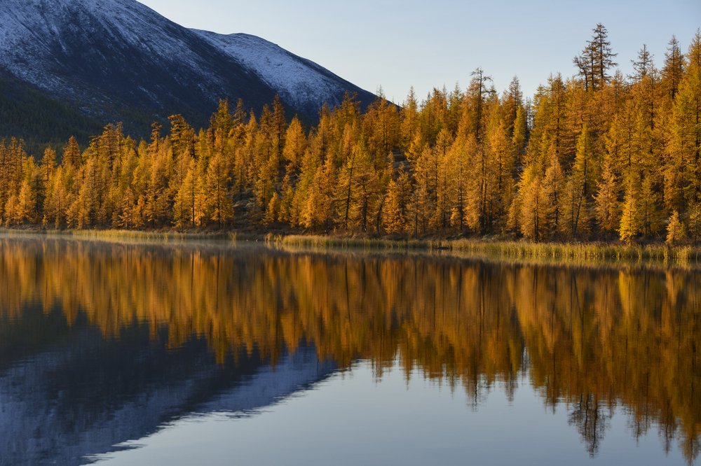 Photograph by Елена Вторушина