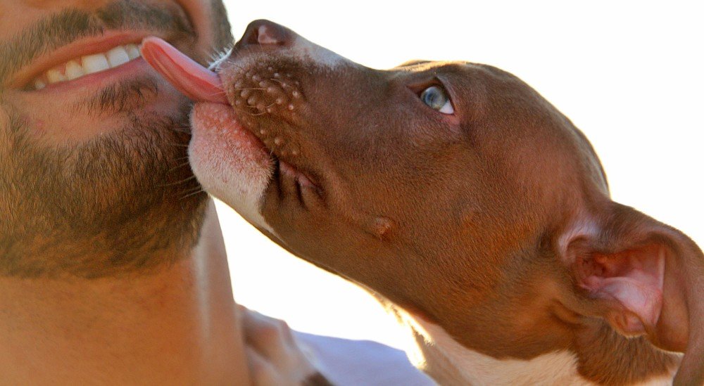 Photograph by Debbie Strauss