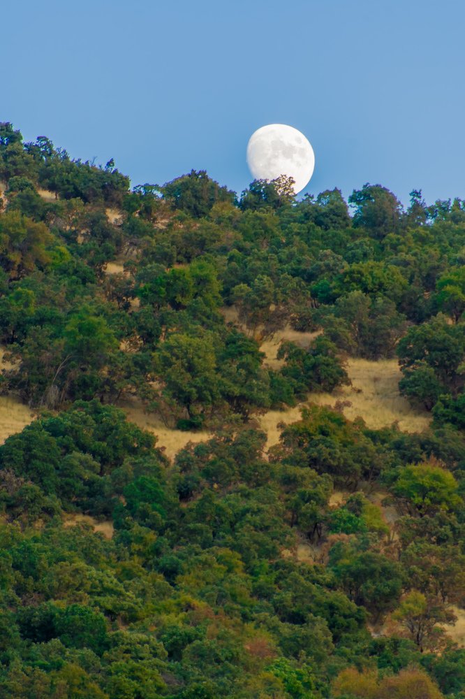 Photograph by Moslem Azimi