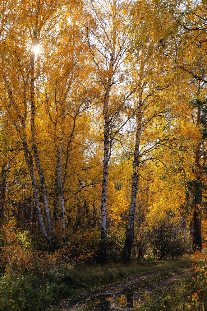 Бабье лето.