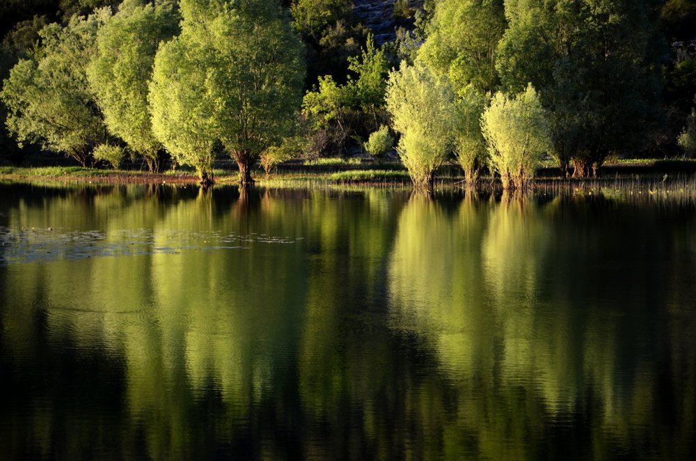 GREEN LAKE'S AFTERNOON