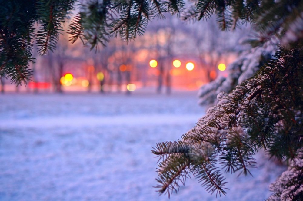 Предновогоднее ожидание