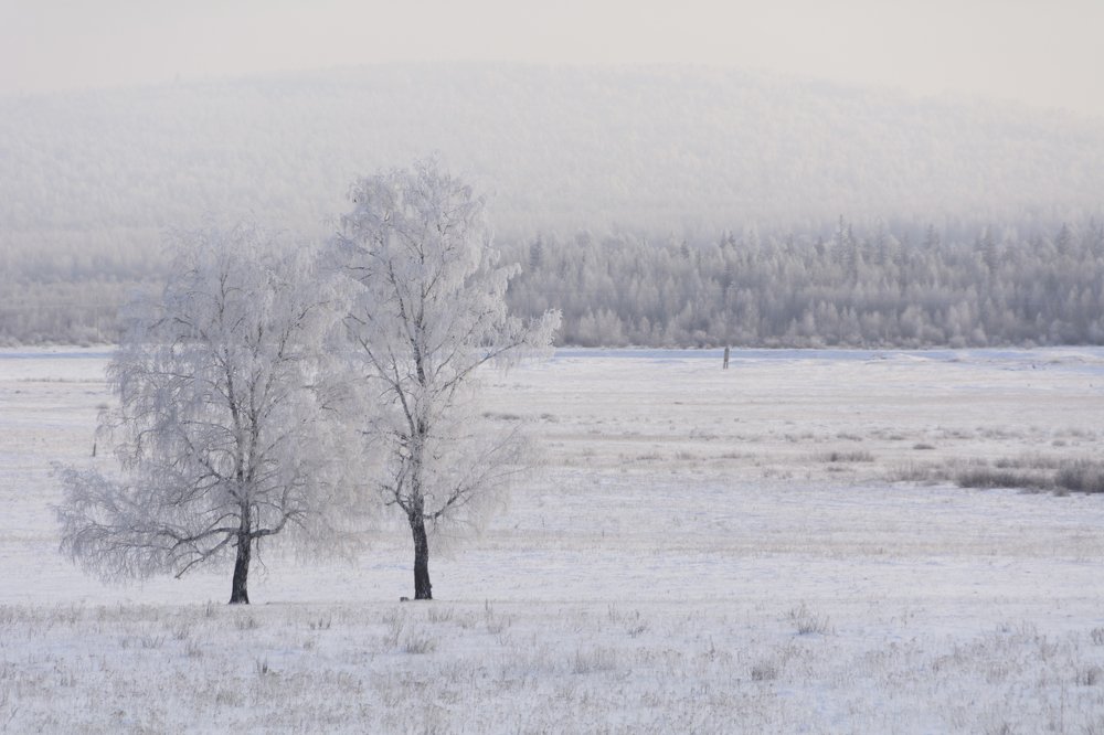 Photograph by Елена Вторушина