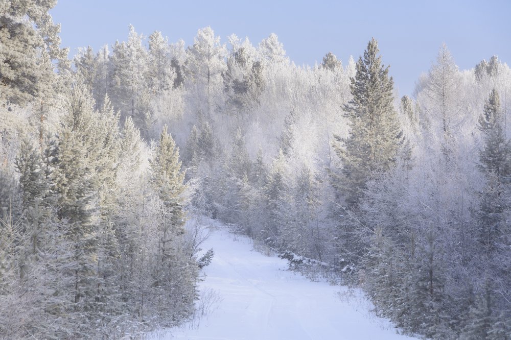 Photograph by Елена Вторушина