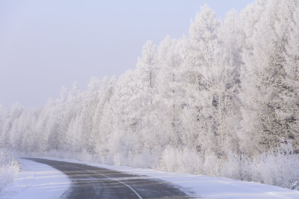 Photograph by Елена Вторушина