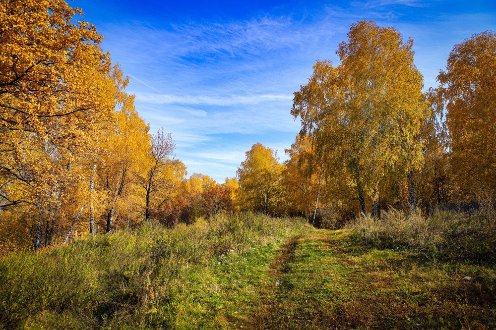 Очей очарованье!