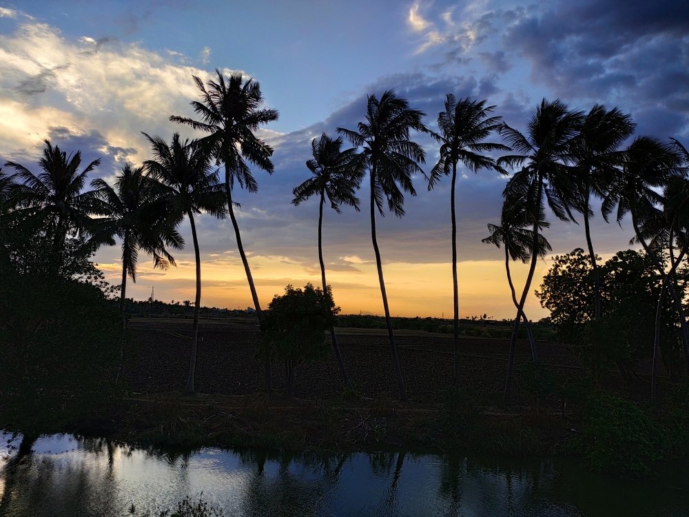 Photograph by Sakthivel Raja