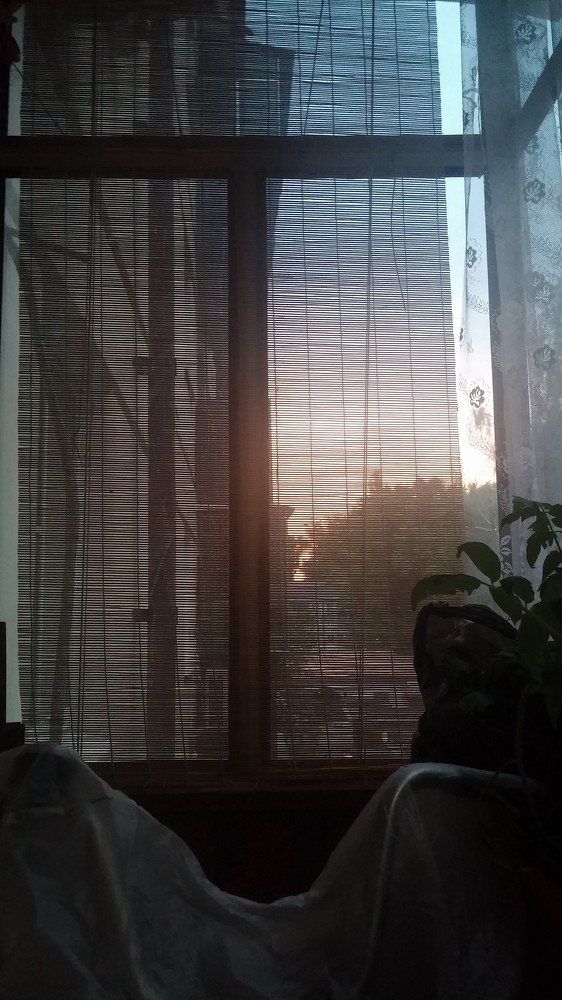 Photo #3692718