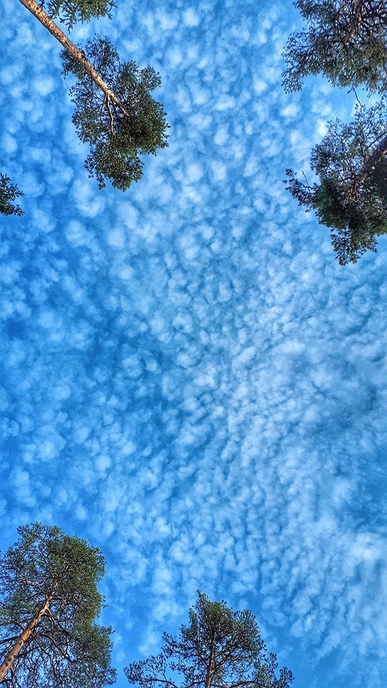 Photograph by Михаил Рассказ